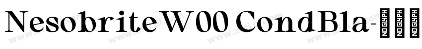 NesobriteW00 CondBla字体转换